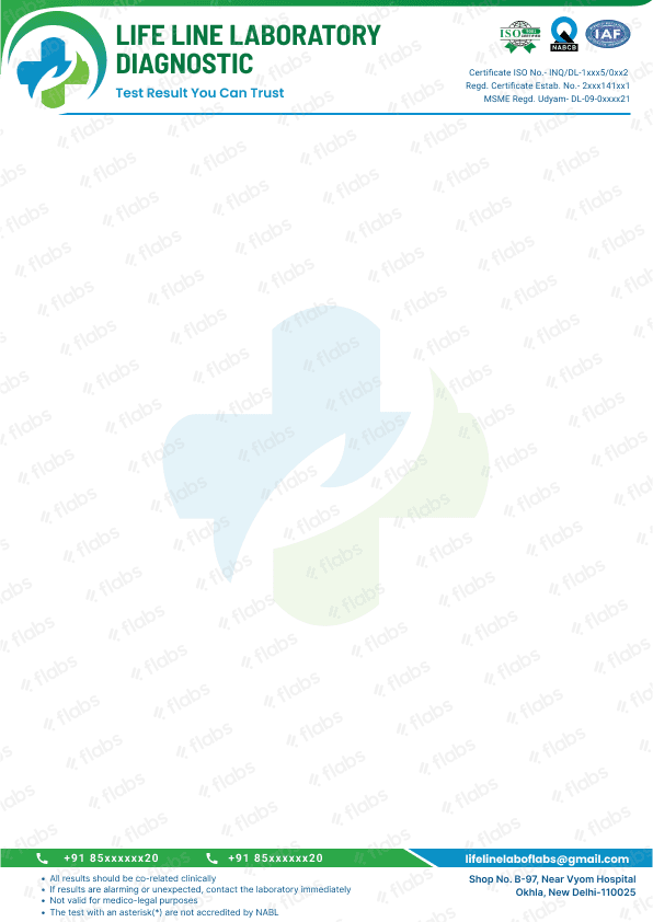 Letterhead 3